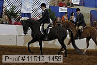 11r12_1459 proof