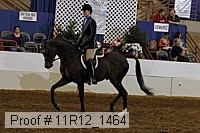 11r12_1464 proof