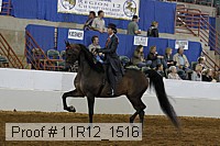 11r12_1516 proof