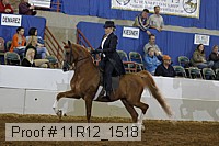 11r12_1518 proof