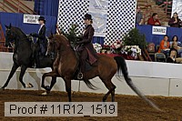 11r12_1519 proof