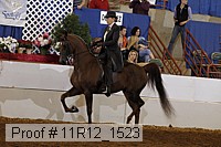 11r12_1523 proof