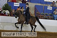 11r12_1525 proof