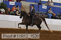 11r12_1528 proof