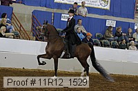 11r12_1529 proof