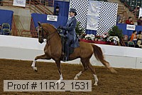 11r12_1531 proof