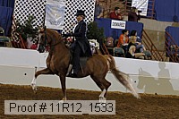 11r12_1533 proof