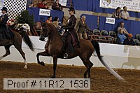 11r12_1536 proof