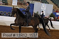 11r12_1537 proof
