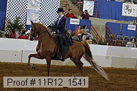 11r12_1541 proof