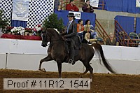 11r12_1544 proof