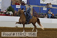 11r12_1546 proof