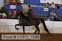 11r12_1548 proof