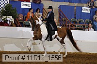11r12_1556 proof