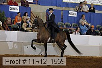 11r12_1559 proof