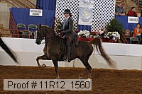 11r12_1560 proof