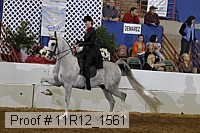 11r12_1561 proof