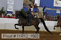 11r12_1562 proof