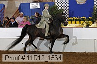 11r12_1564 proof
