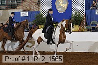 11r12_1565 proof