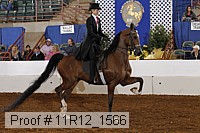 11r12_1566 proof