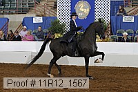 11r12_1567 proof