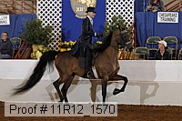 11r12_1570 proof