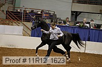 11r12_1623 proof