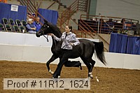 11r12_1624 proof
