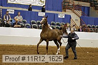 11r12_1625 proof