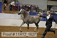 11r12_1627 proof