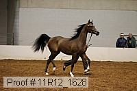 11r12_1628 proof