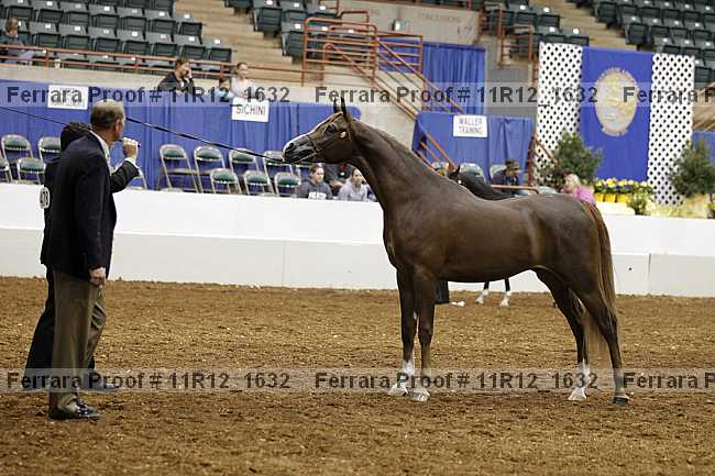 Proof 11r12_1632