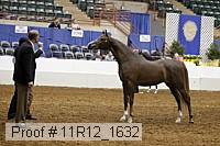11r12_1632 proof