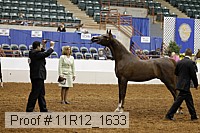 11r12_1633 proof