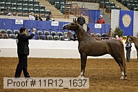11r12_1637 proof