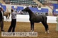 11r12_1644 proof