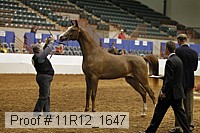 11r12_1647 proof