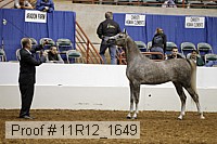 11r12_1649 proof