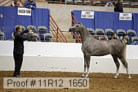 11r12_1650 proof
