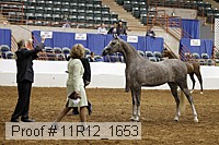 11r12_1653 proof