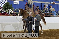 11r12_1660 proof