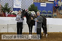 11r12_1663 proof