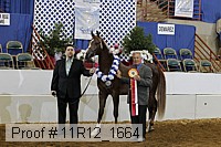 11r12_1664 proof