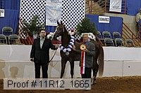 11r12_1665 proof