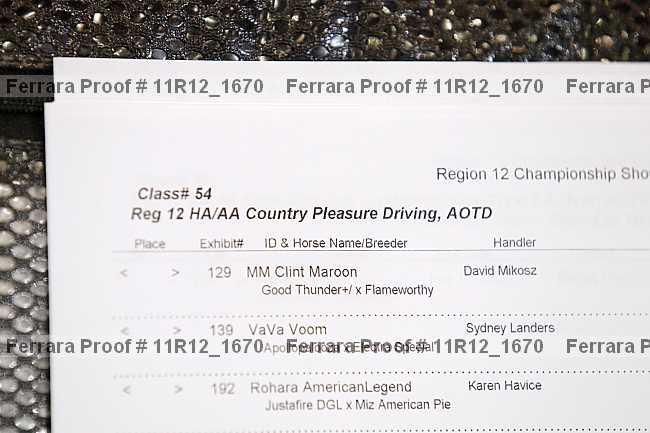 Proof 11r12_1670