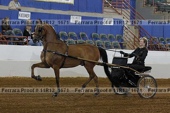 Proof 11r12_1671