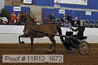 11r12_1672 proof