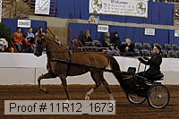 11r12_1673 proof