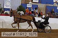 11r12_1675 proof